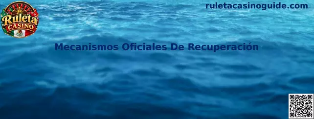 Guía visual sobre mecanismos oficiales para recuperar de forma segura el acceso a una cuenta de Ruleta Casino