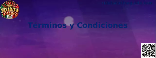 Términos y Condiciones de Ruleta Casino